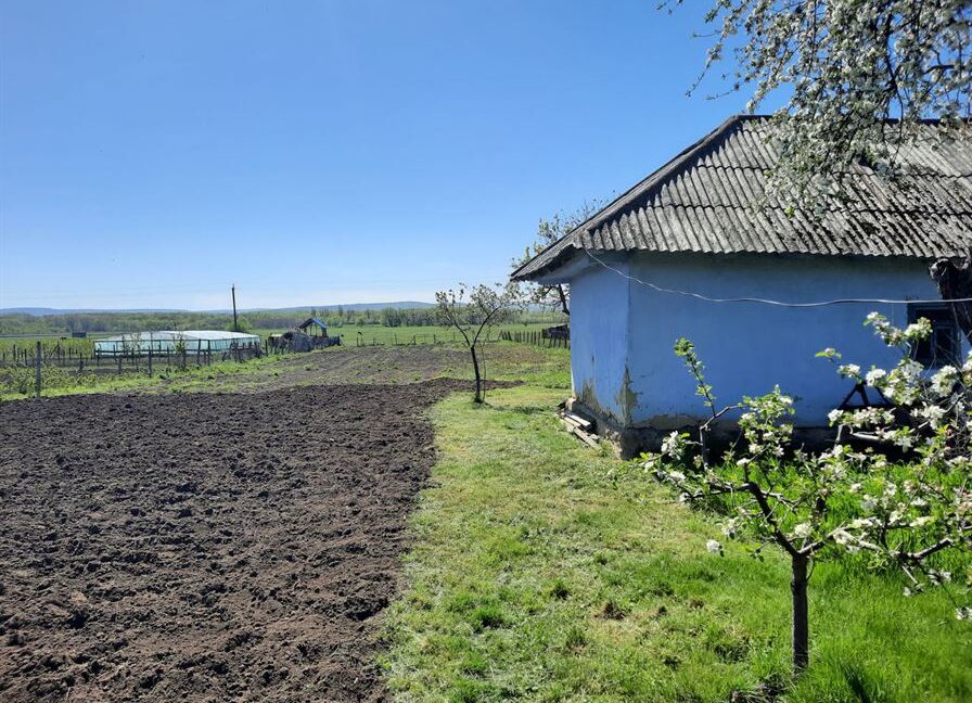 1d42f77420d27f5667600fa65683cff4