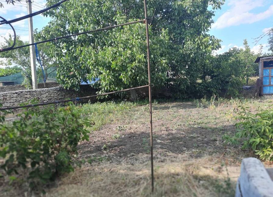 295070099e5fc30711c8778db788b646