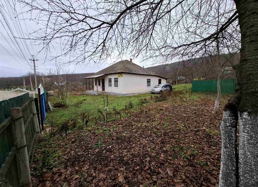 33b5ebfb4d3f9a66b1d77bf7012d9ceb