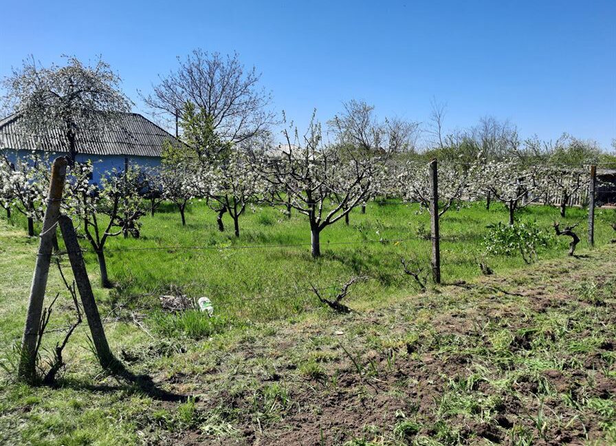 57061349ac5ad3fae67f99ec63834fb6