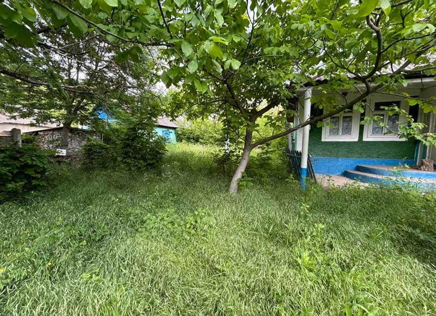 7f43dfdb19a2020f35820cdb1eb7b4c6