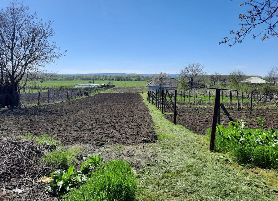 8395febc19baeab7cc6cabcd0f97e5aa