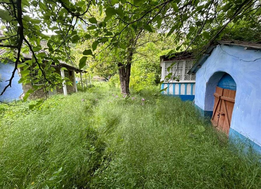 8eea1b3c3741b1769b692b33598414e0