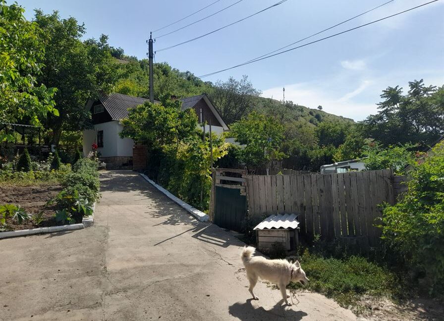 9dbdea2a91060889fd5ed878639b7306