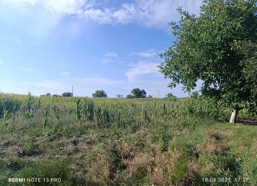 bf5a5c9942791fac4ffefcd3d96fd472