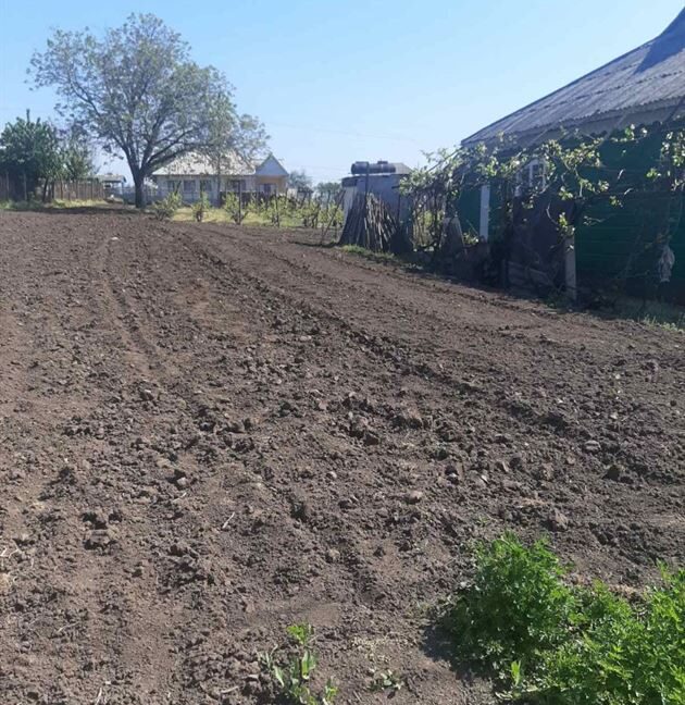 c19b09692704c598a0f81b02787a2f04