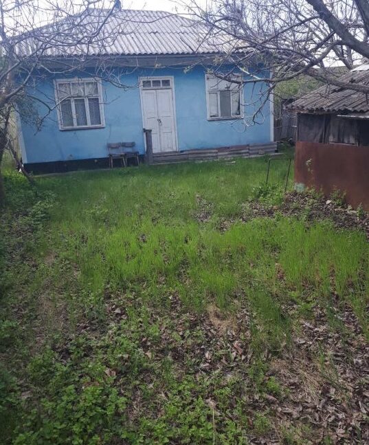 c2228fbd198f0c29d2cf2b80b990cc5b