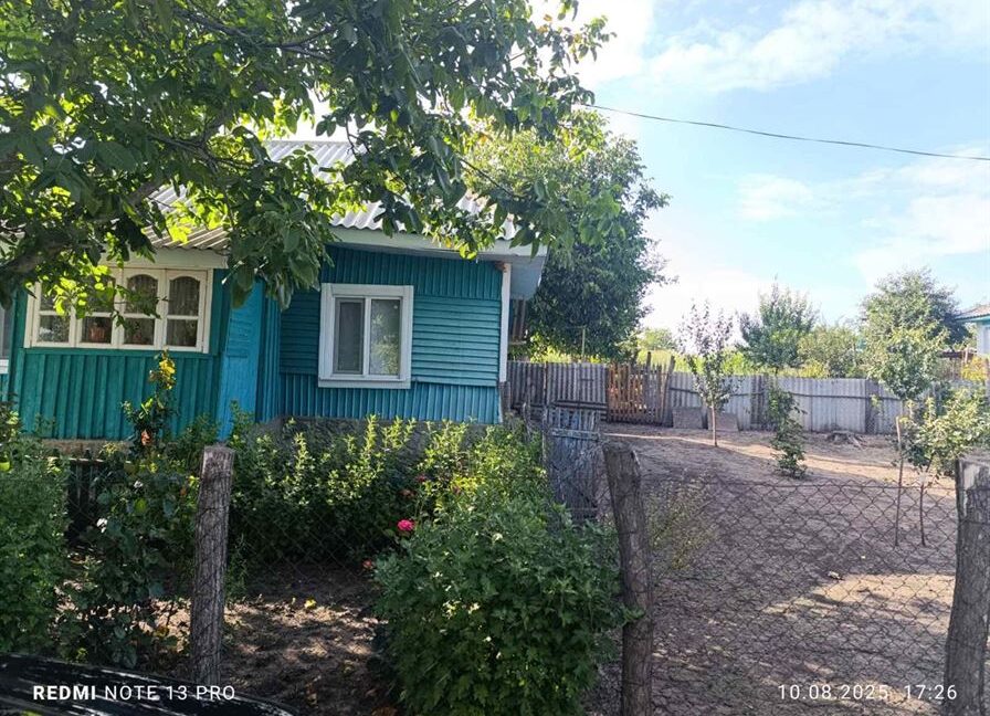 cfc6bee35be67bec7d2d82145d799e3a