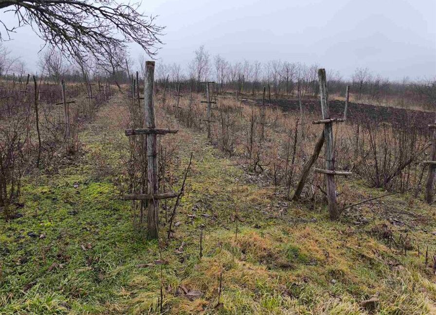 de5101bd0f49be7235e1613a1728fc93