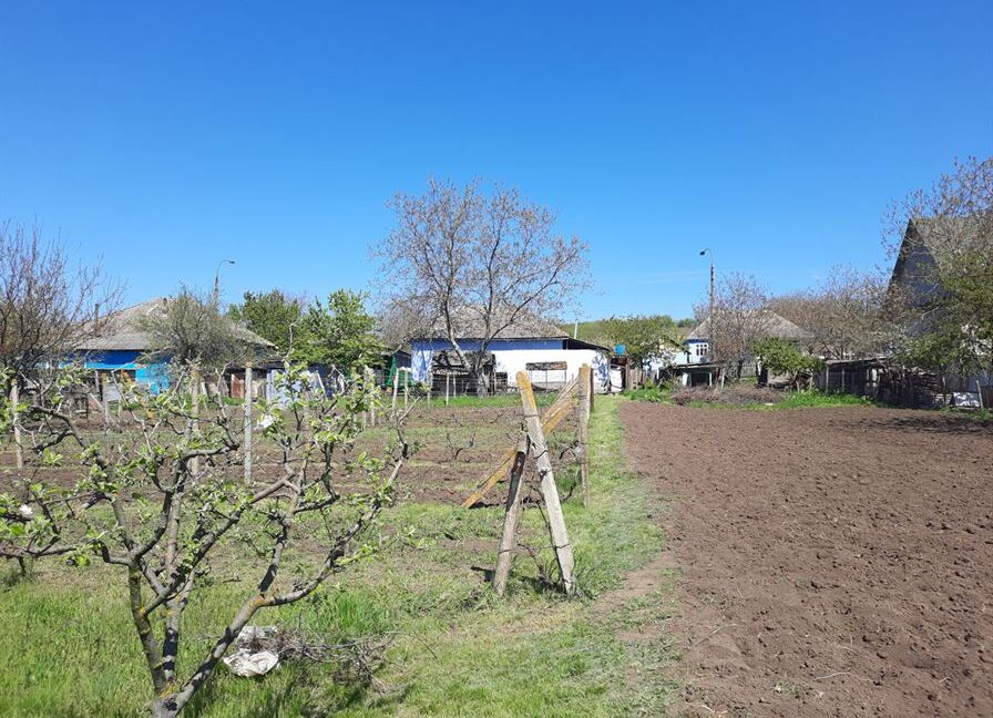 e6ae72b6c456f7073d843762c1c25a0a