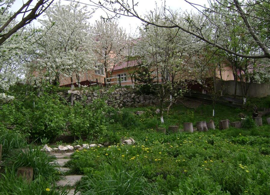 2c24fd8d34cab9b4d2e207ccd773a714