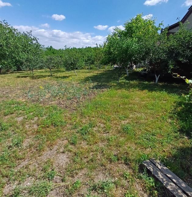 35529fbda03b073b311da4c160d57698