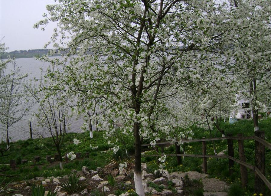 543c36087784d3ce6dcb53bbe8295a31