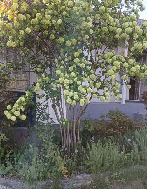 64baa5269e786438a2aab8c0ef614176