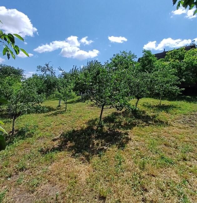 7b67c75cbd60695c802464c30b6d8438