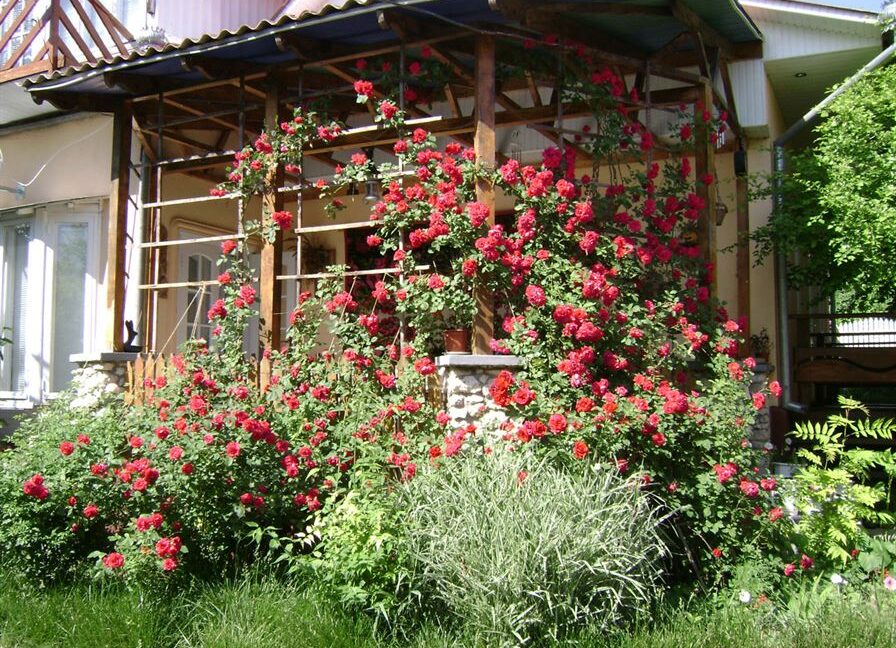 7e4b90e2265f8170bb9f3d54fef10ece