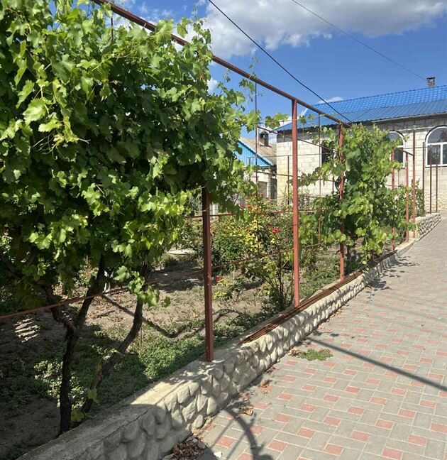 877f120de60a688cecd6eba5ed9c8100