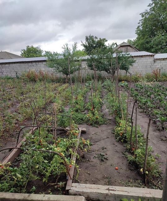 bce37c92ba7f61c71a22eff1abbc244a