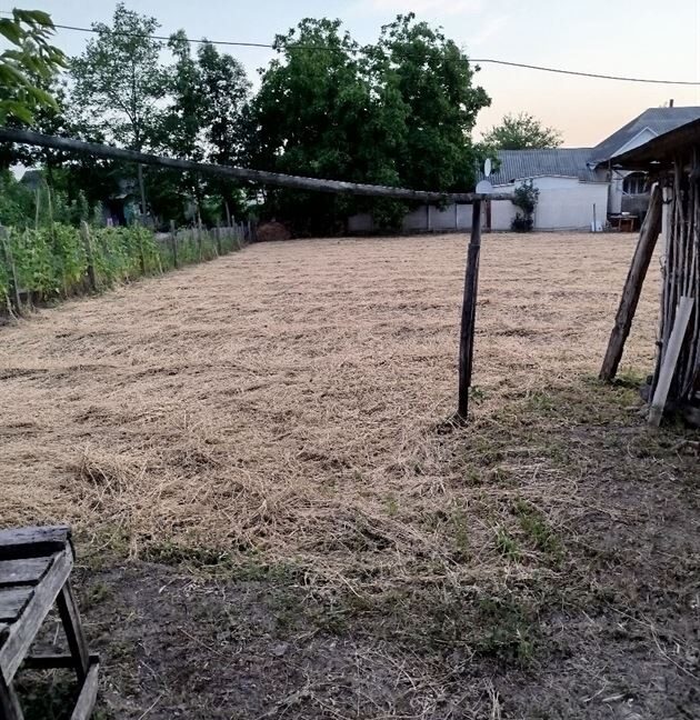 e44fd9d8b169525936ee7cf4baed44cc